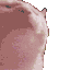 CATTO